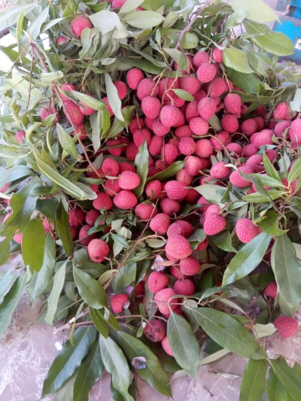 Litchi (10 kg)